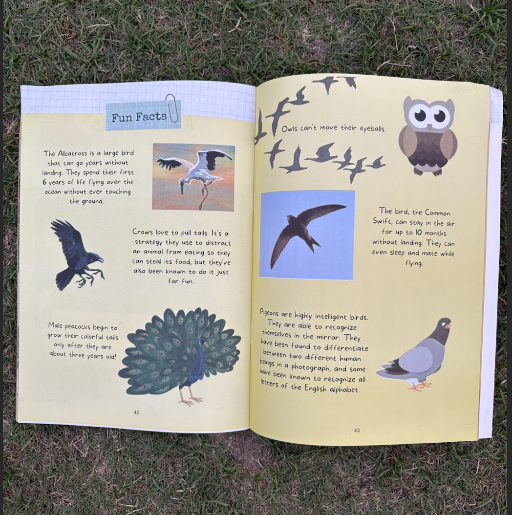 kids-magazine